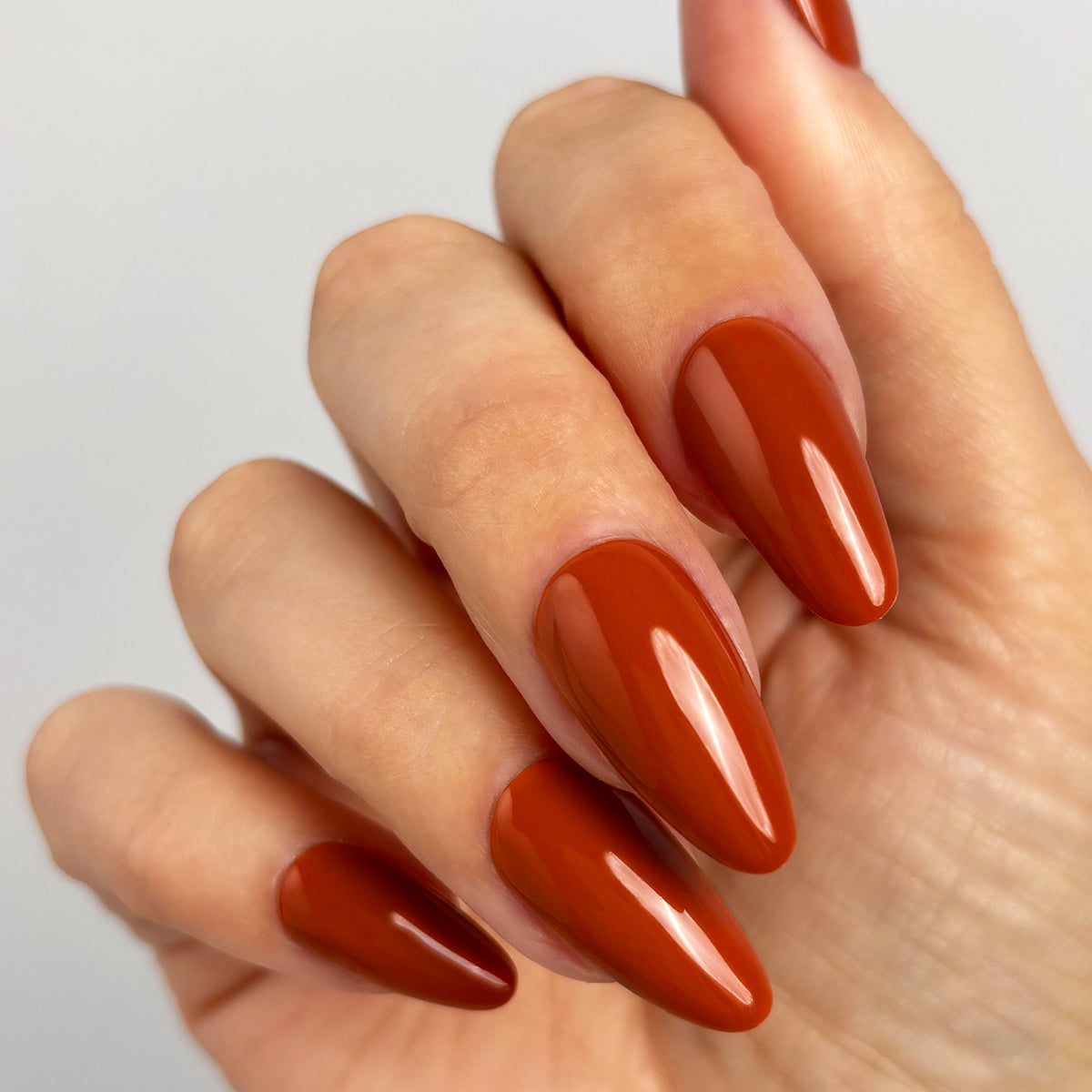 Death By Chocolate Collection