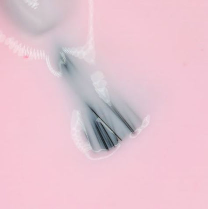 Bb12 - Cherry Blossom